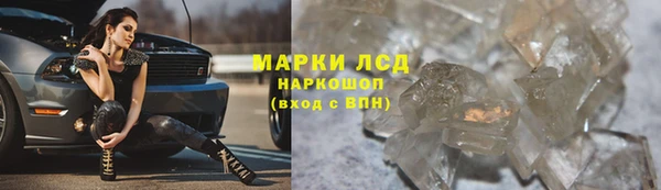 гидра Волосово