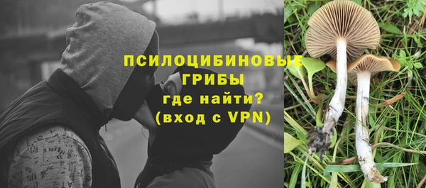 прущая мука Вяземский
