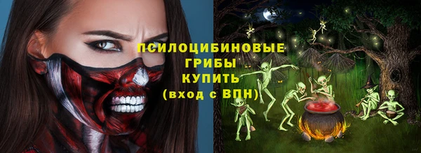 мдпв Вязники