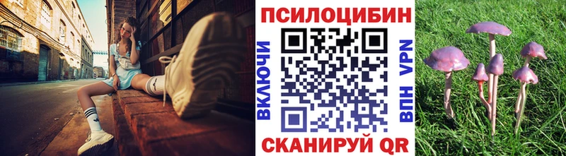 даркнет наркотические препараты  Луга  Галлюциногенные грибы GOLDEN TEACHER 