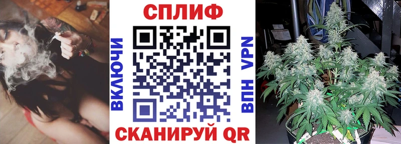 Каннабис White Widow  Луга 